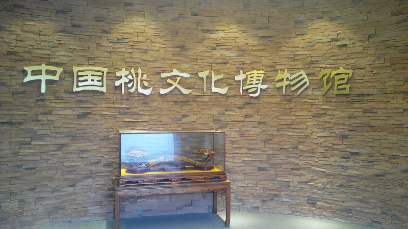 IMG_20150103_162656.jpg 中國桃文化博物館